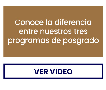 Newsletter APM julio 2026, sección 8