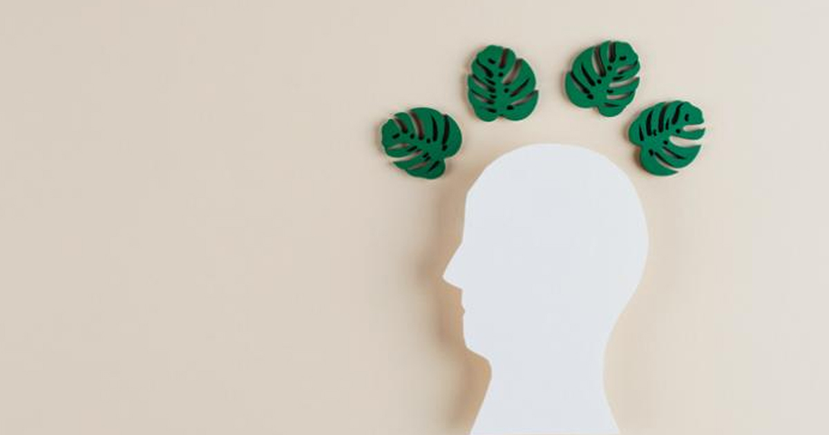 Qué es la Ecoansiedad: la trampa psicológica del perfeccionismo verde