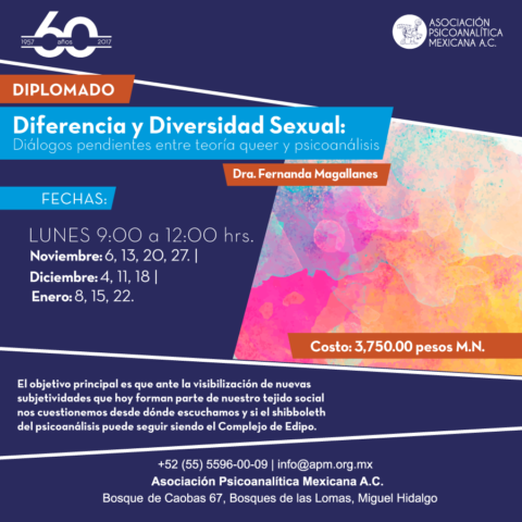 Diferencia y Diversidad Sexual: Diálogos pendientes entre teoría queer y psicoanálisis